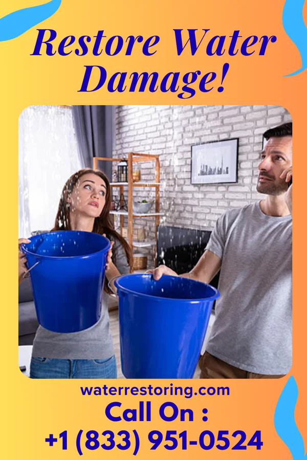 water restoration Solid Flood Damage Authority Elsmere