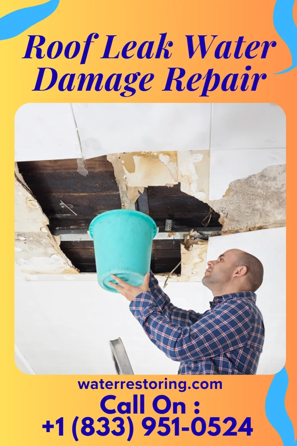 Roof Leak Water Damage Repair in Elsmere, KY