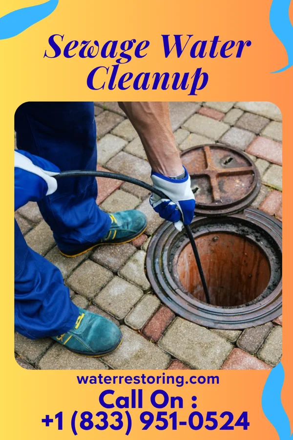 Sewage Water Cleanup in Elsmere, KY