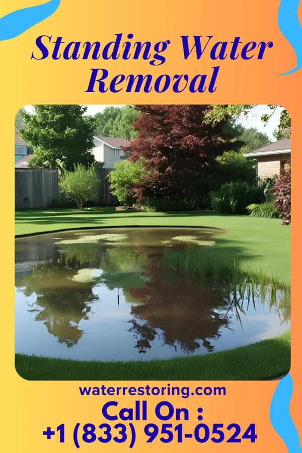 Standing Water Removal in Elsmere, KY